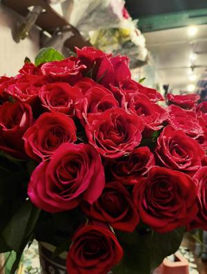 67. His Radiant Wife