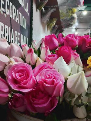 68. In This Little House of Ours