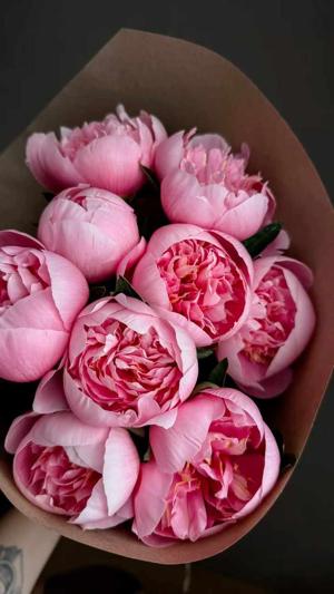 72. The Miracle Got a Name