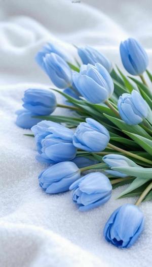 74. Finishing the Unfinished