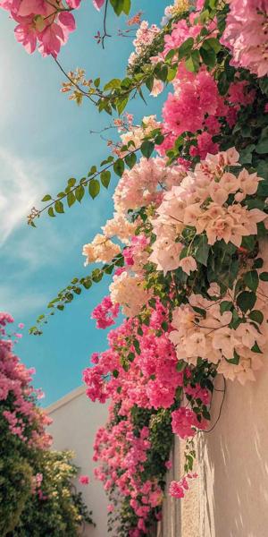 Bonus II : The First Word