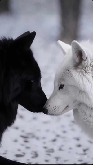 MAIN CHARACTERS INTRODUCTION