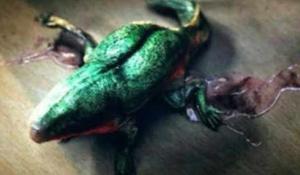 1. The Slimy Creature