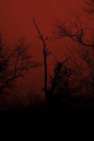 2. The Bloodied Sky