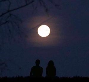 15~ Under the Moonlight 🌙