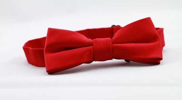 Mens Bow Tie: Elevate Your Style with Timeless Elegance.