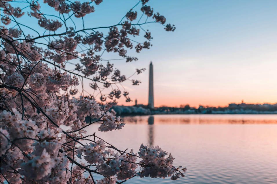 Affordable Spring Break Trips Every Family Will Love