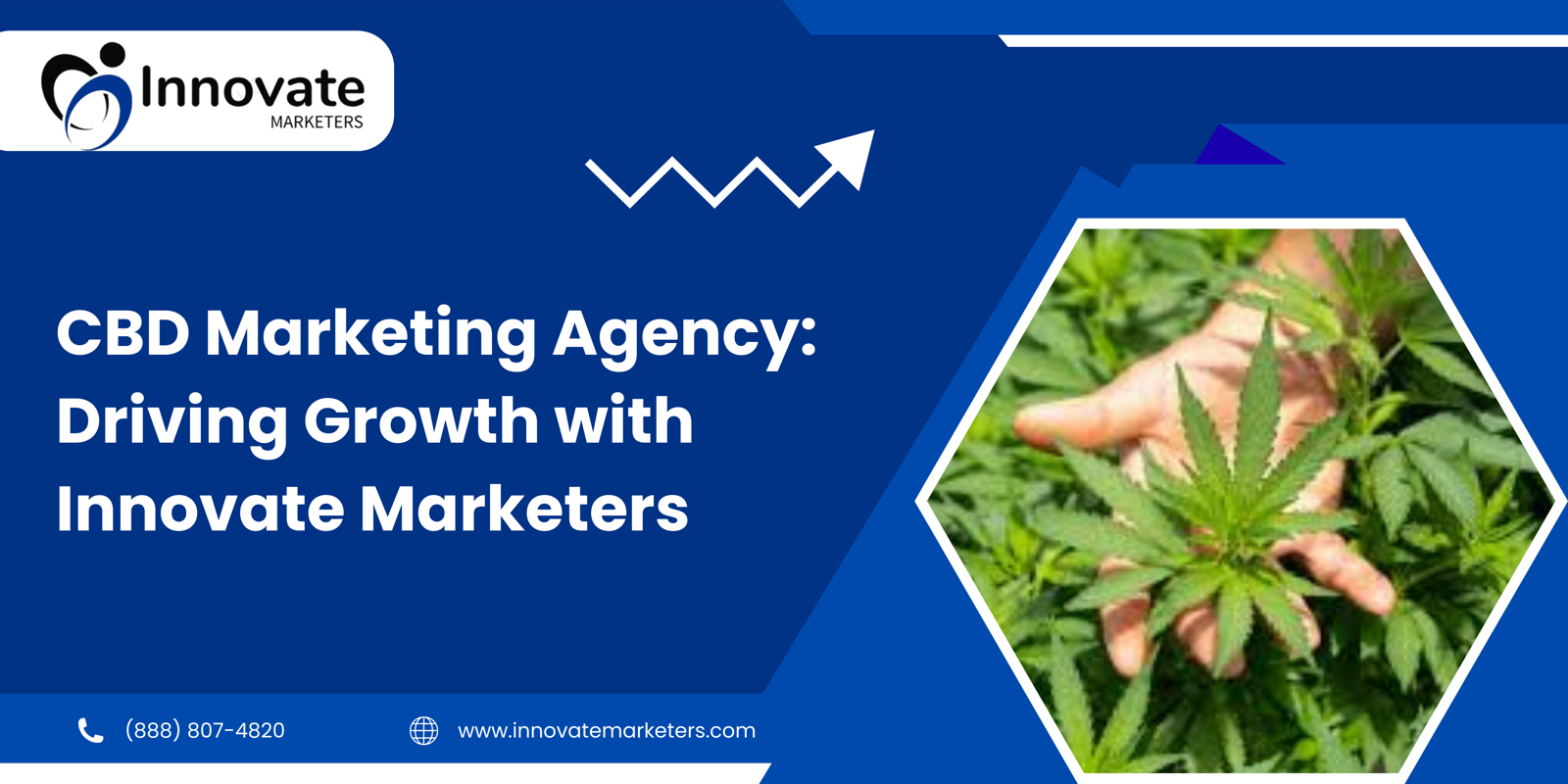 CBD Marketing Agency: Driving Growth with Innovate Marketers