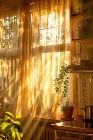 CHAPTER 28: SUNLIGHT AND SHADOWS
