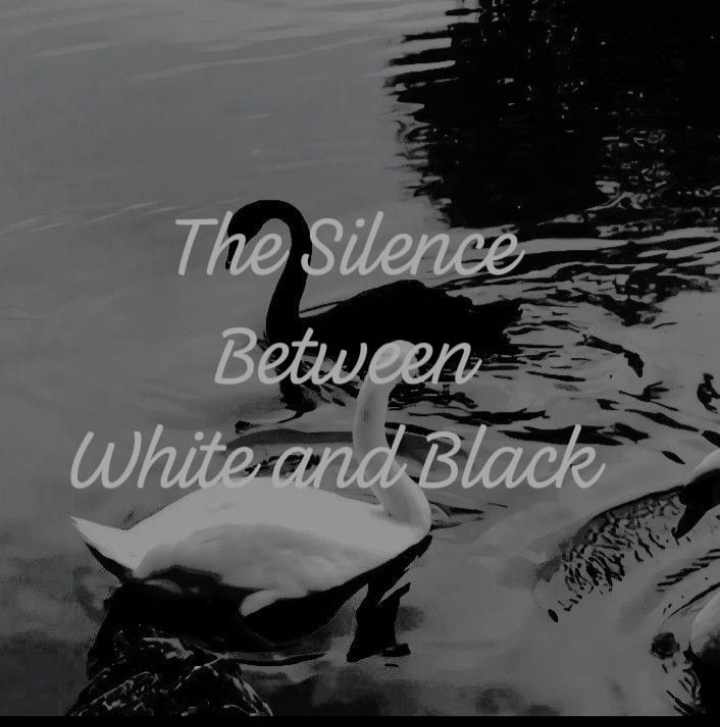 The Silence Between White and Black