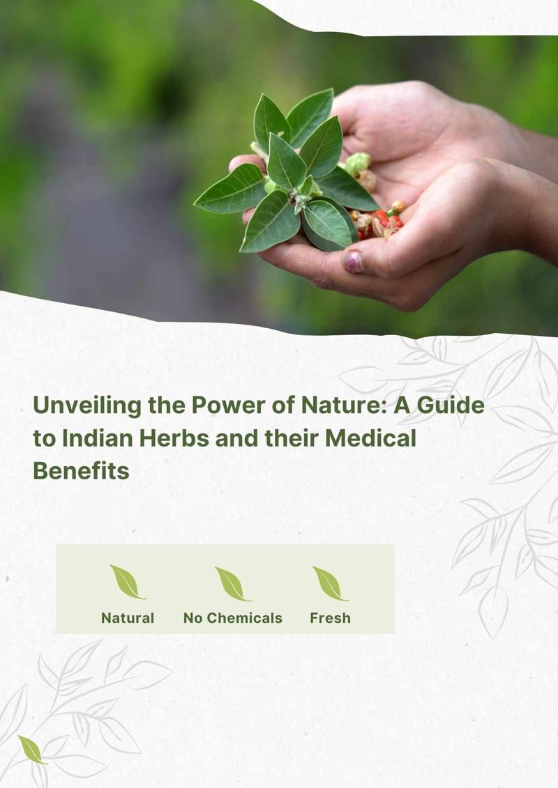 Unveiling the Ancient Secrets of Ayurveda