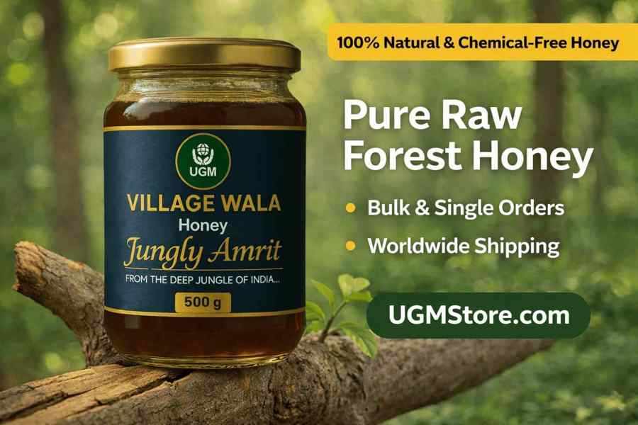 Pure Raw Forest Honey – 100% Natural Jungly Honey from India