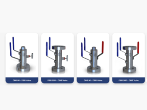 Enhancing Safety and System Integrity with Double Block and Bleed Valves