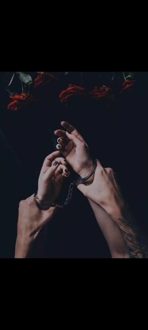 Angel 🖤  logo
