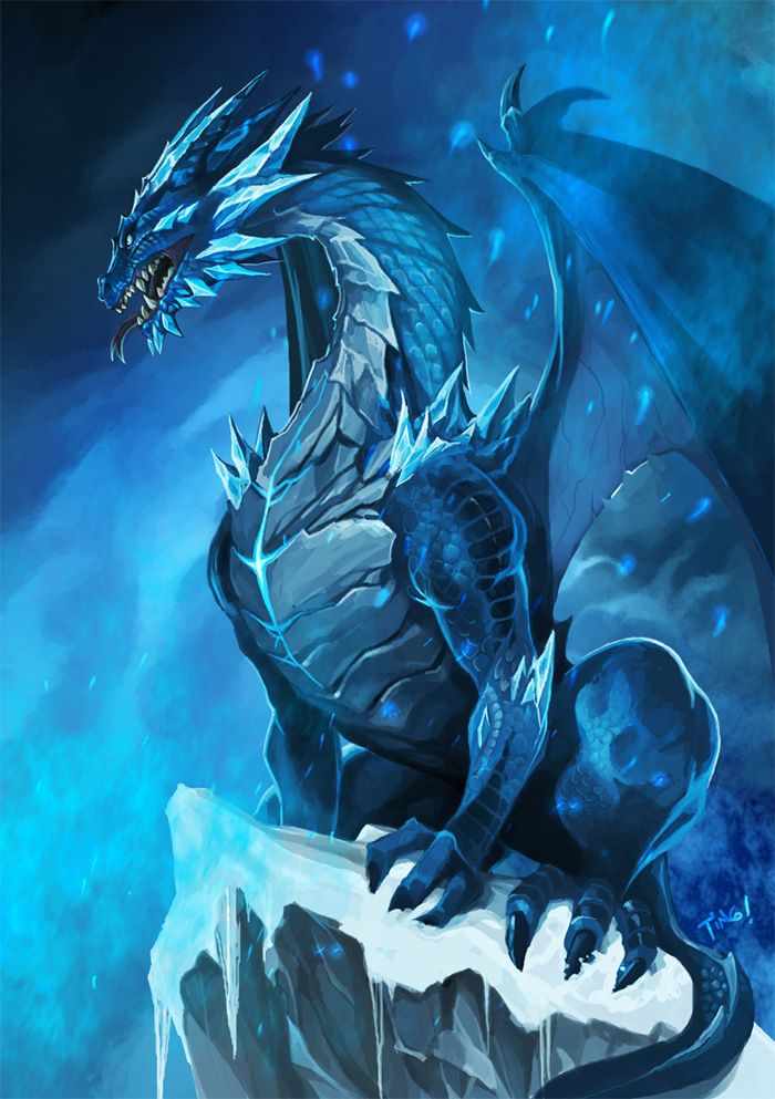 Dragon Saves Man.