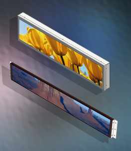 Ruggedized Displays
