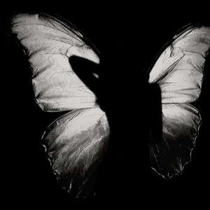 Misba choudhary  logo