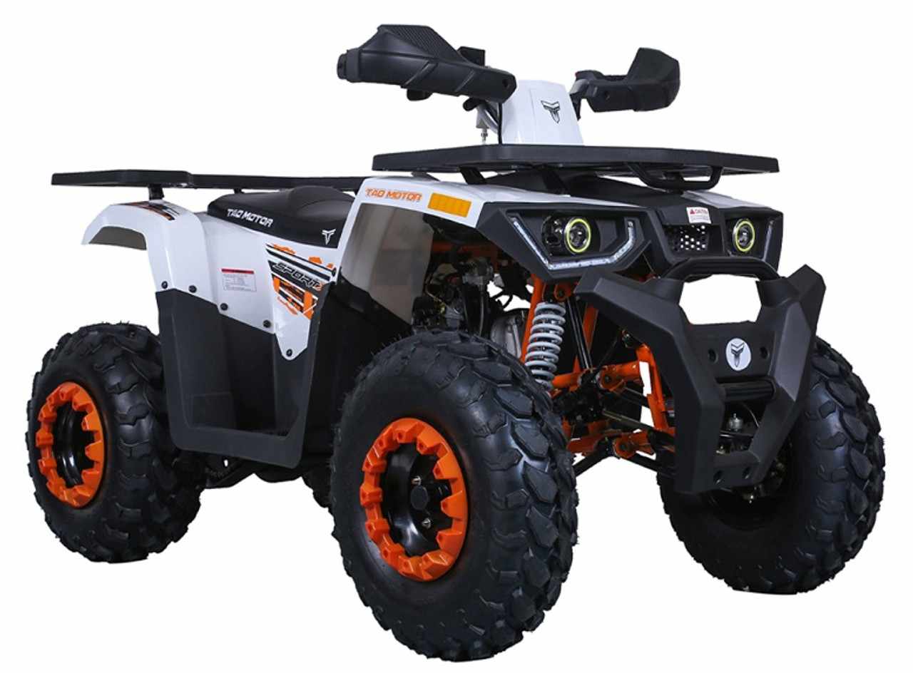 Know Your Ride: A Deep Dive into ATV Terminology Essentials