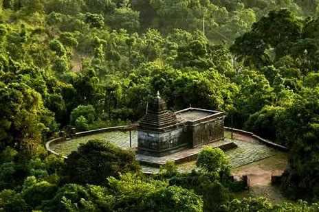 Jungle resorts in Chikmagalur