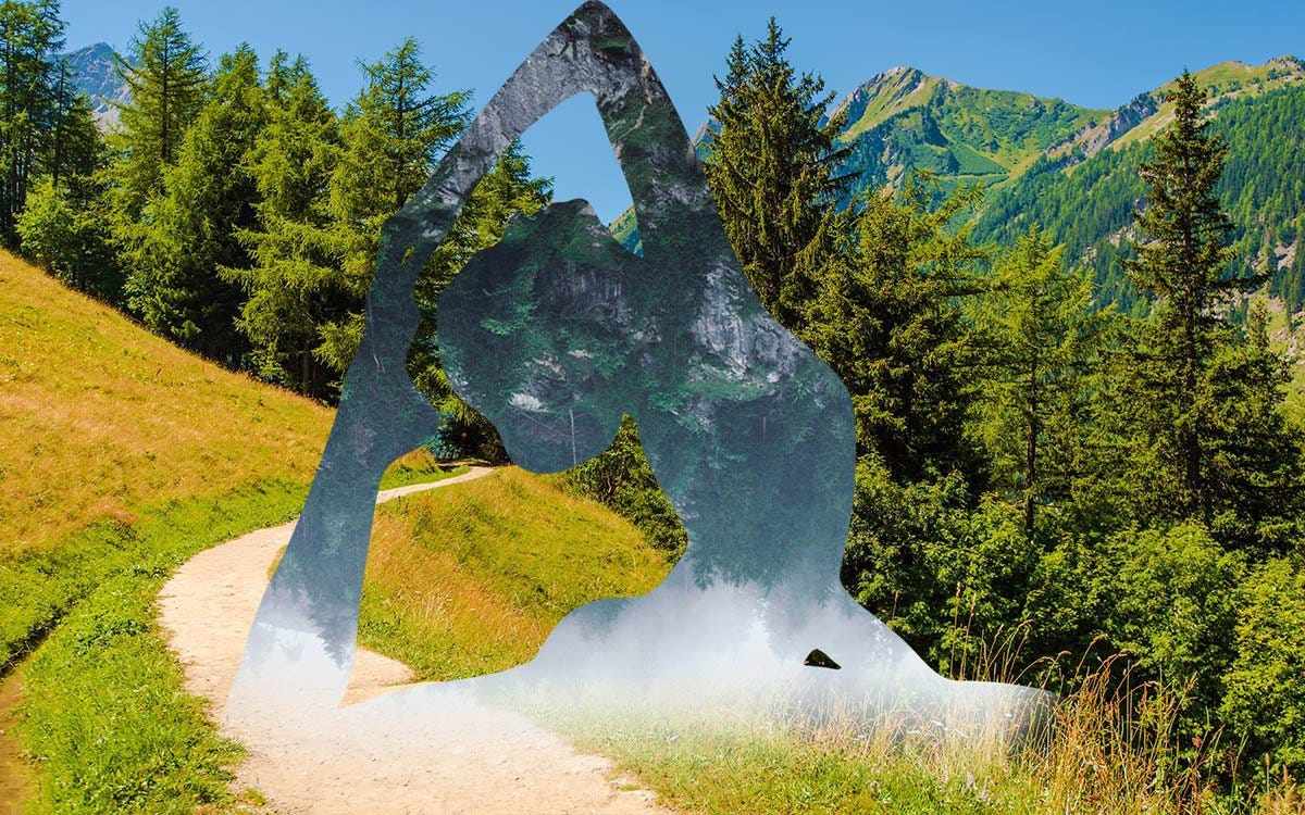 Gandhi Root, Camel Jasper and the Long, Rewarding Journey of Self-Actualization