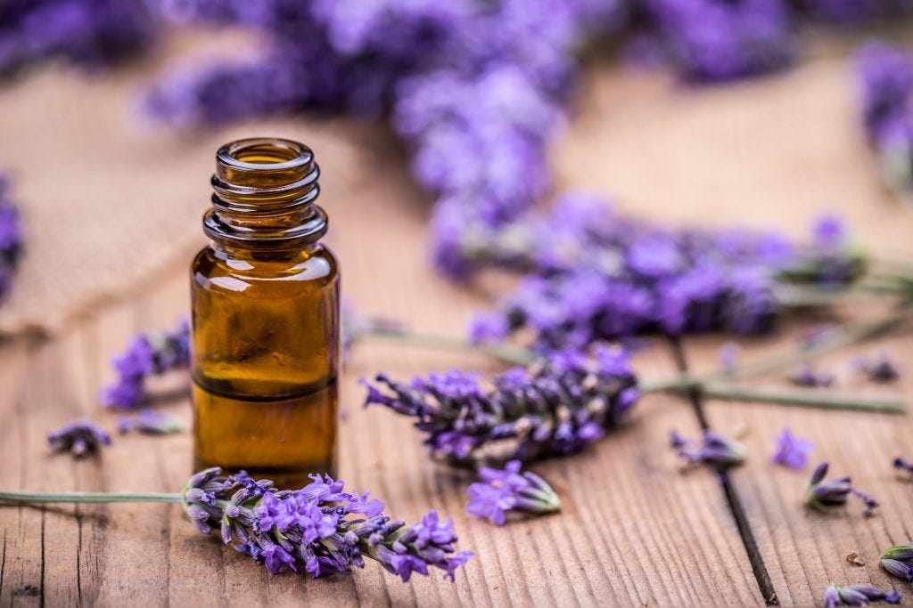 spiritual phytoessencing