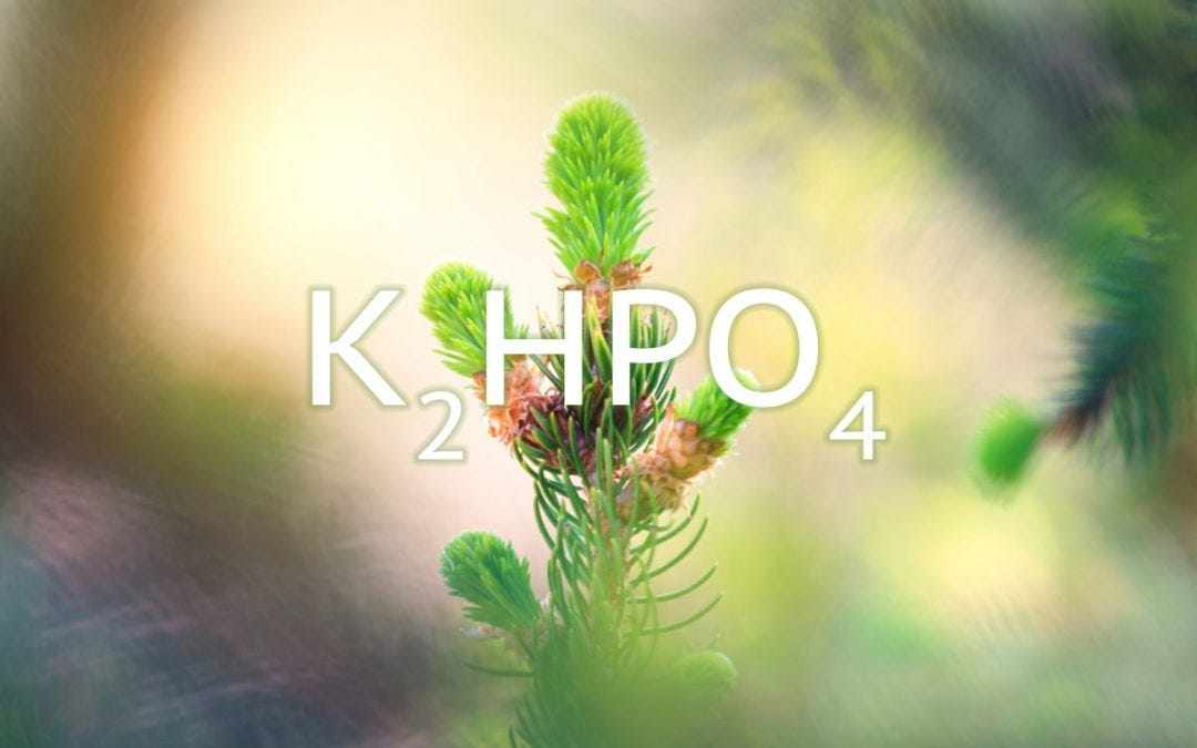 Kali. Phos. (Potassium Phosphate): Cell Salt Remedy for 21st Century American Nervousness