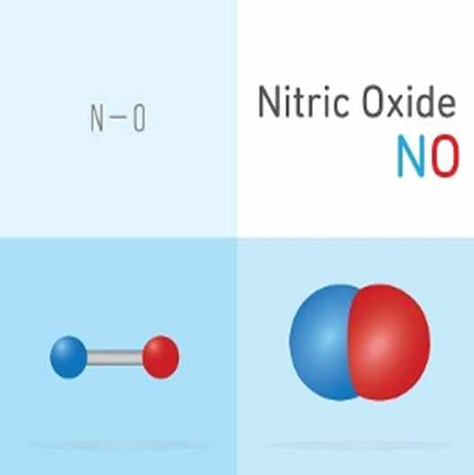 nitric oxide herbal formula dr berkowsky