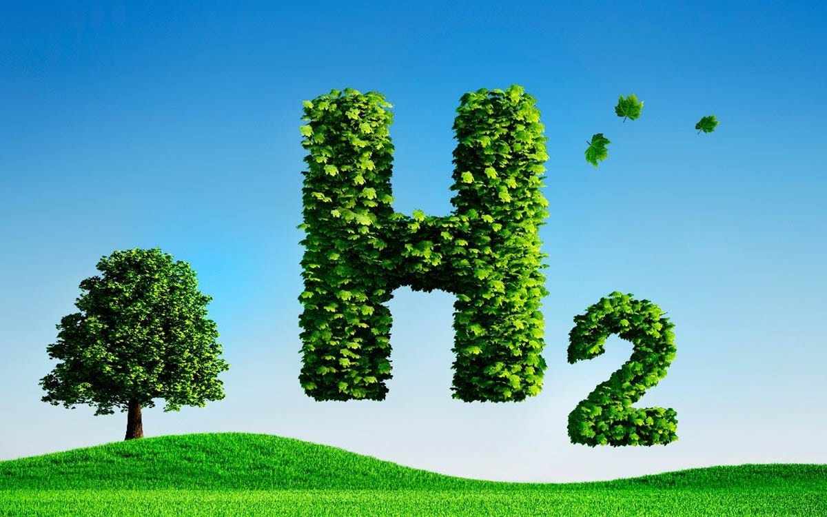 Molecular Hydrogen Therapy/Cell Salts Synergy for the Brain