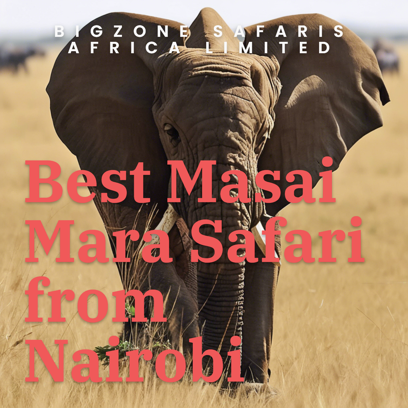 Selecting the Best Masai Mara Safari from Nairobi