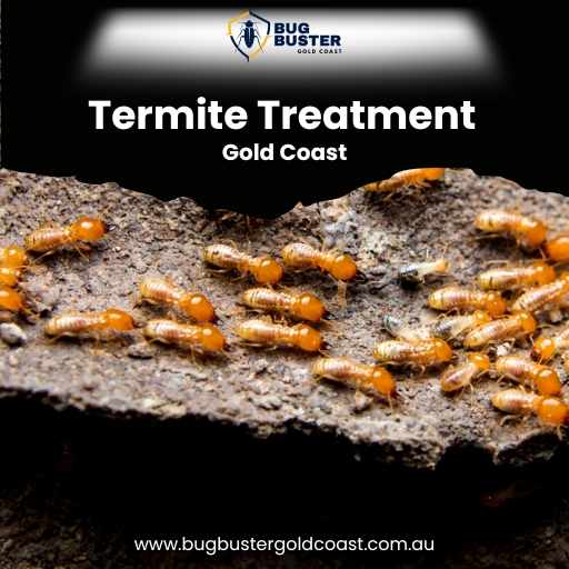 Termite Treatment Gold Coast – Effective Protection for Your Property