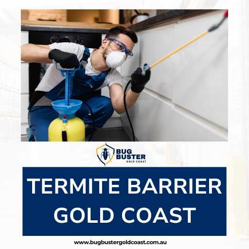 Termite Barrier Gold Coast – Protect Your Property from Termites
