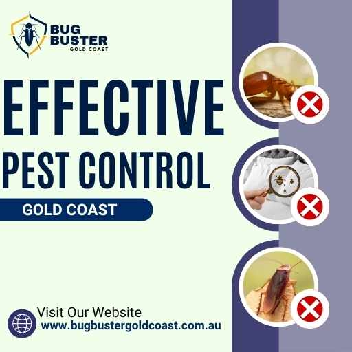 Effective Pest Control Gold Coast – Keep Your Property Pest-Free
