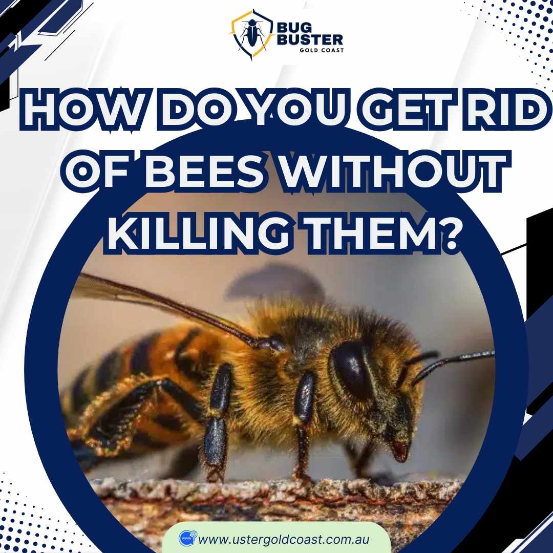 How Do You Get Rid Of Bees Without Killing Them?