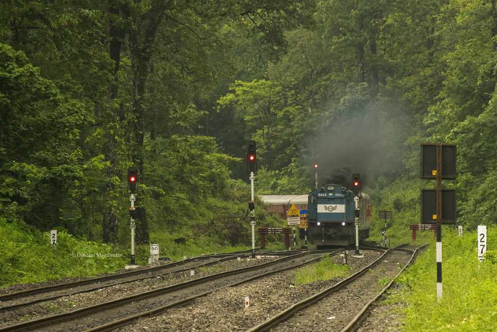 Kanchenjunga National Park: How to Reach & Things to do