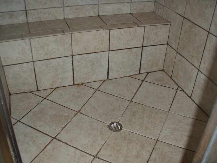 Grout & Tile Cleaning Services in South Tampa – Spotless Shine