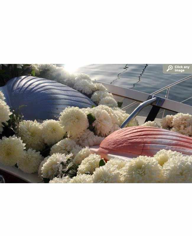 What is a Biodegradable Water Shell Urn