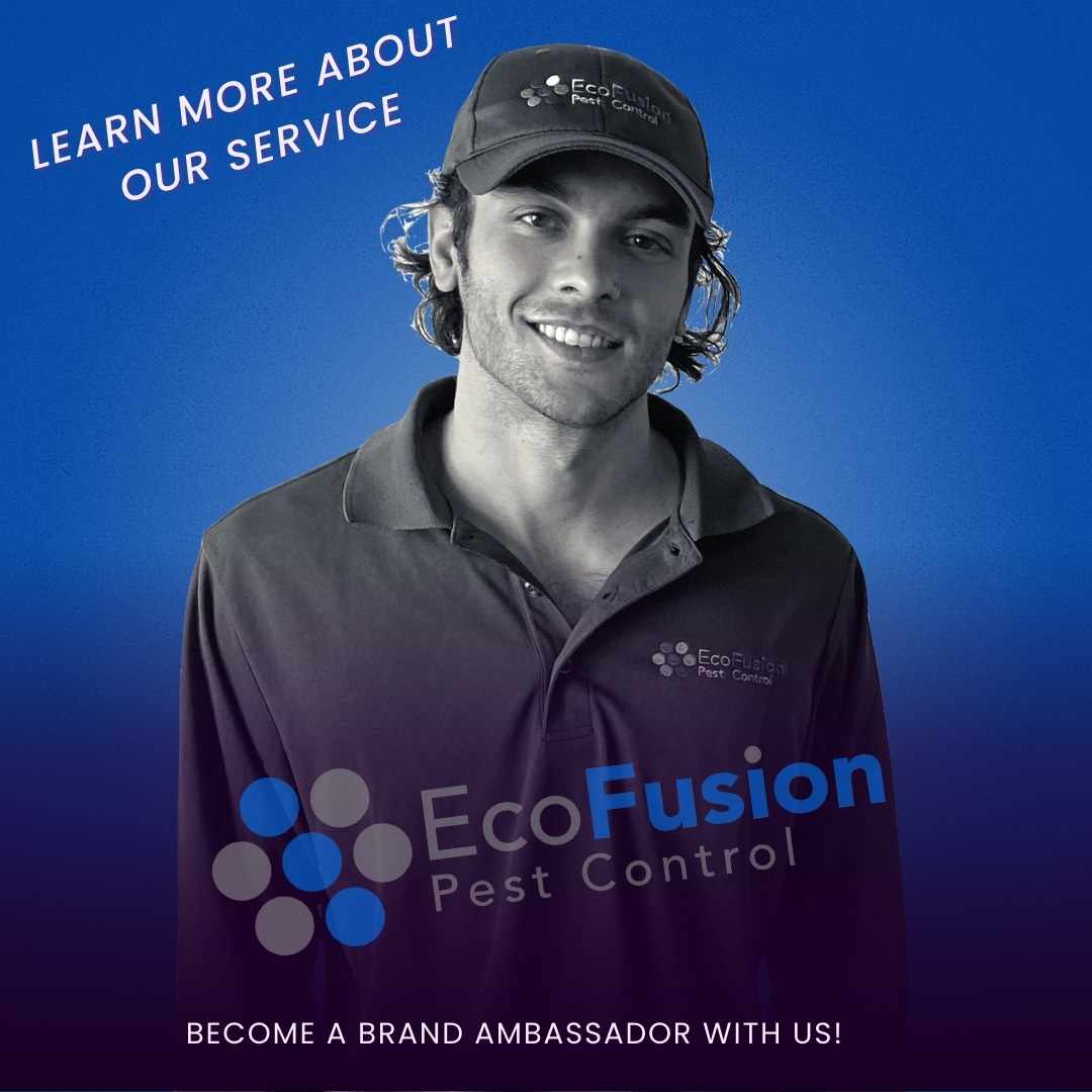 Exterminator Near Me: Your Guide to Expert Pest Control in Glen Ridge & Montclair, NJ