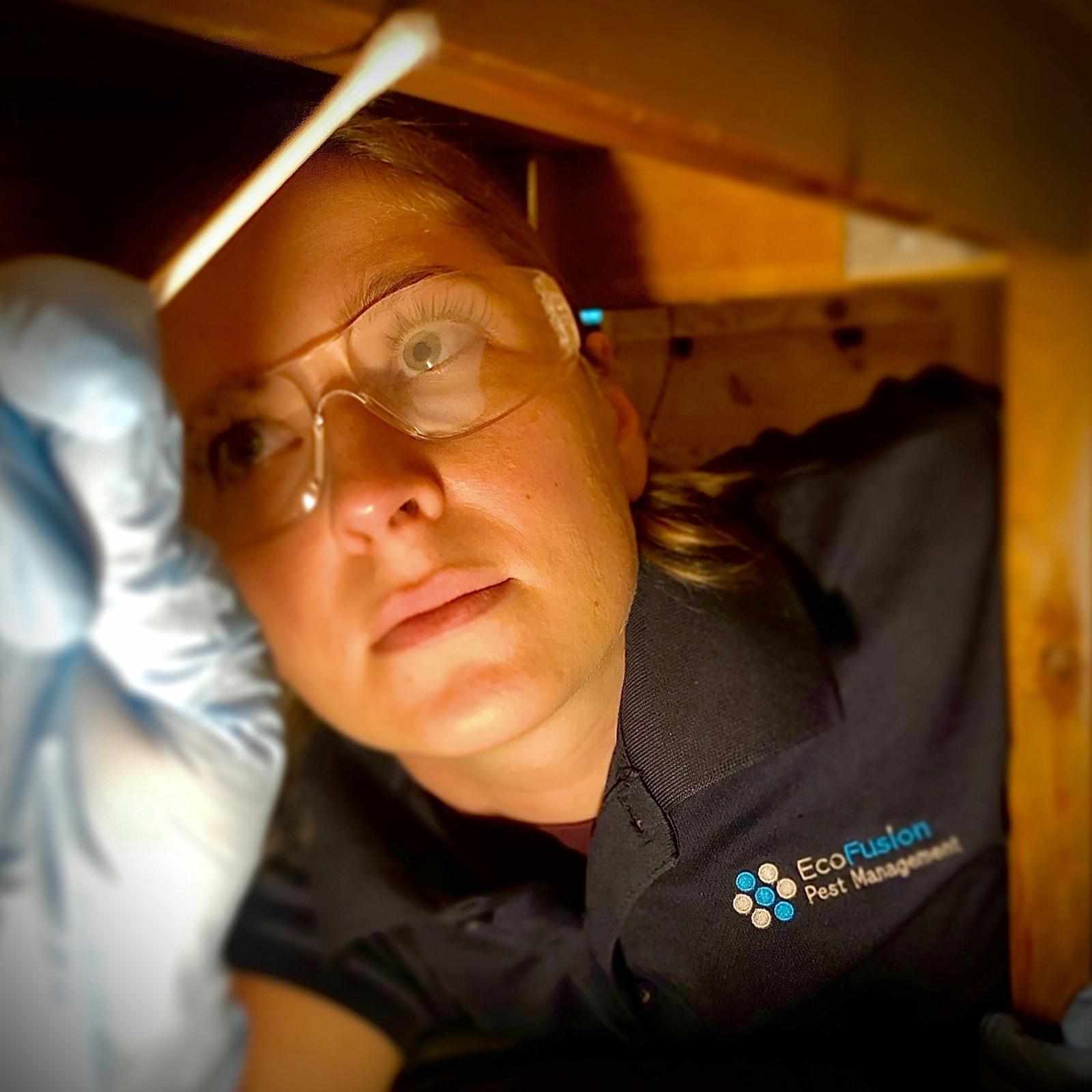 Reliable Pest Control and Exterminator Services Near You in Glen Ridge, Montclair, and Surrounding Areas