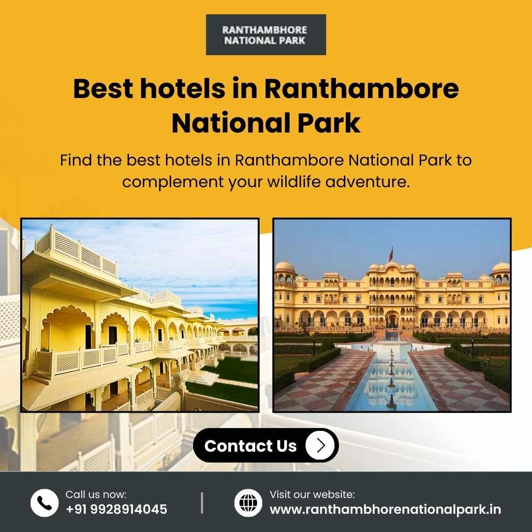 Top Luxury and Budget Hotels Near Ranthambore National Park – Ranthambhore National Park