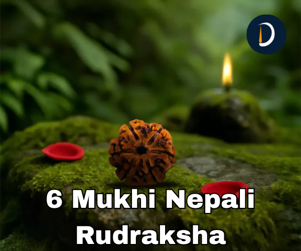 6 Mukhi Nepali Rudraksha – Meaning, Benefit