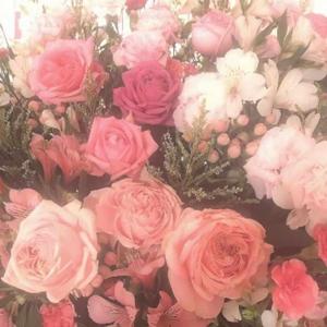 COPYRIGHTS AND WARNING