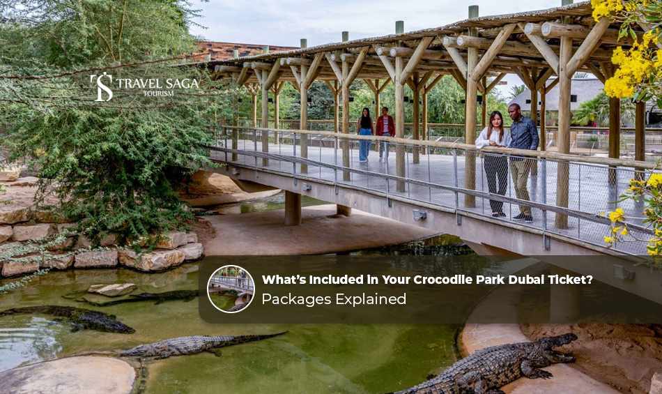 What's Included in Your Crocodile Park Dubai Ticket? Packages Explained