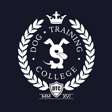 Dog Training College