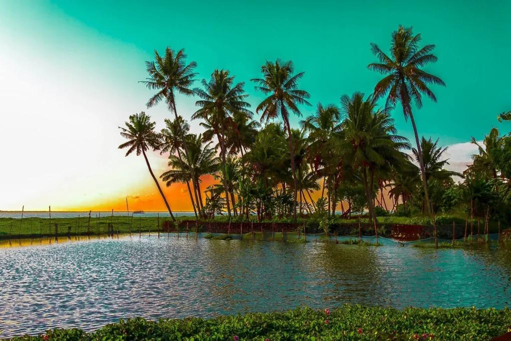 Explore Kerala: Adventure and Nature in South India’s Paradise