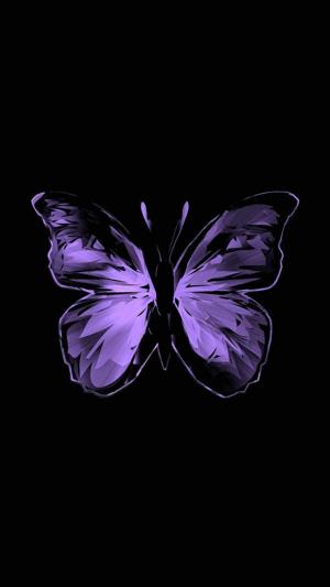 Lissy  logo