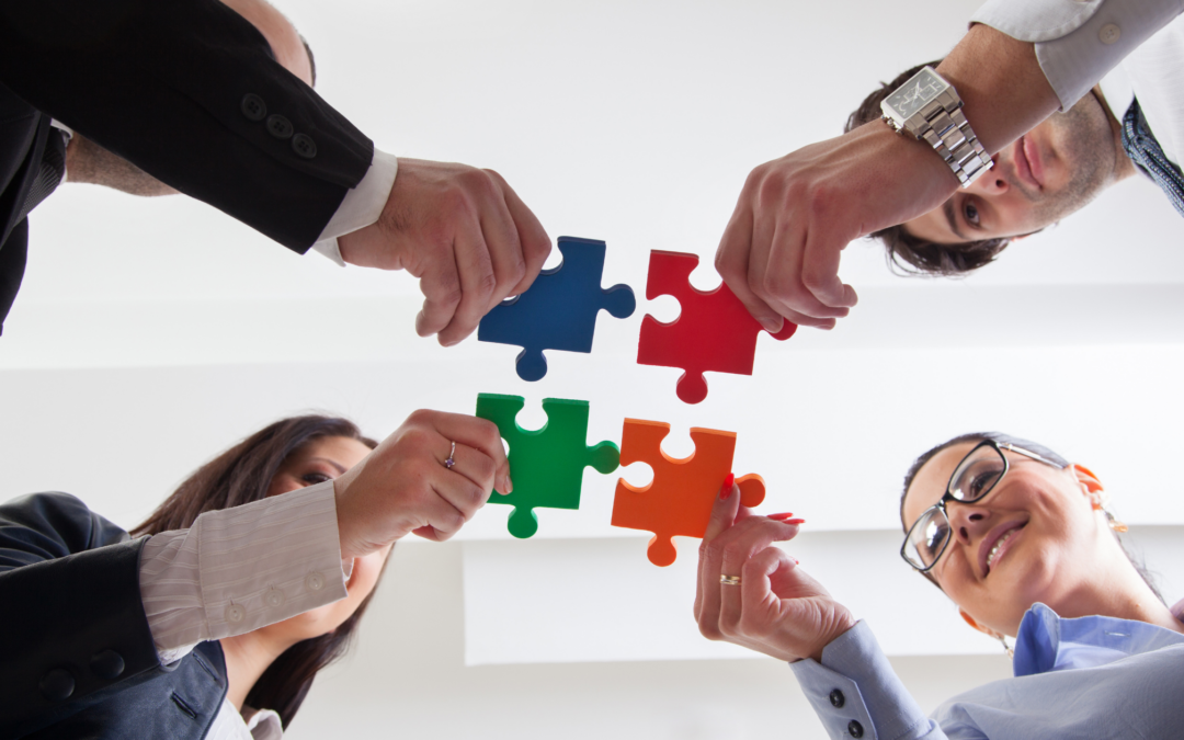 TRABAJO EN EQUIPO