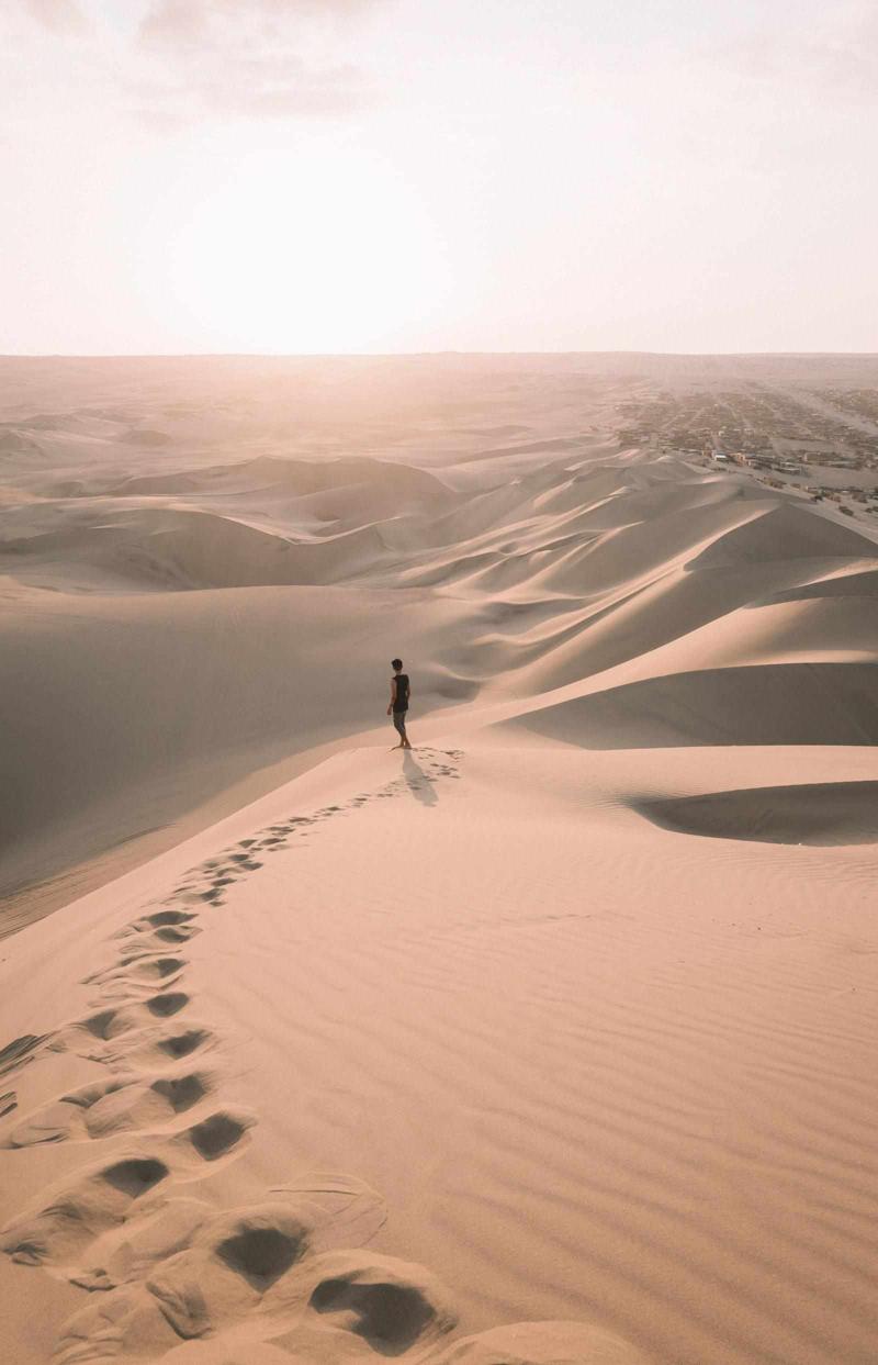 "Lost in the Desert: A Tale of Survival and Redemption"