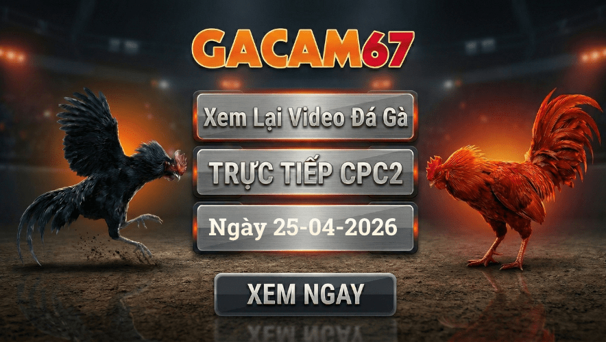 GACAM67 - Xem Lại Video Đá Gà CPC2 Ngày 25/04/2026
