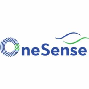 one sense