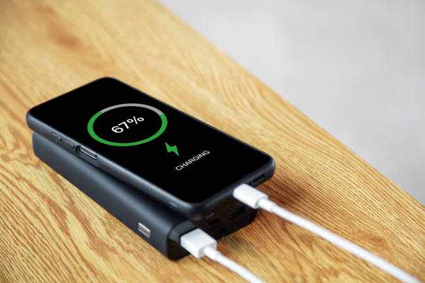 Ambrane India Pvt Ltd: Paving the Path for Growth in the Germany Power Bank Market